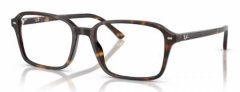 Ray Ban 5431 2012