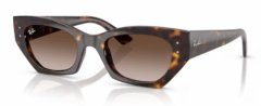 Ray Ban 4430 135913