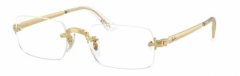 Ray Ban 3928V 2500