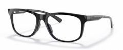 Oakley 8175 04