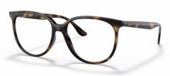 Ray Ban 4378V 2012